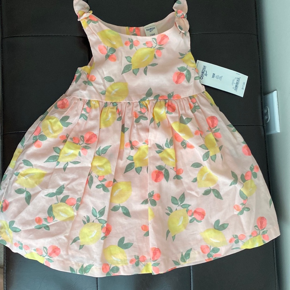 Oshkosh baby girl dress